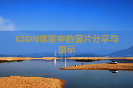 CSDN博客中的图片分享与展示
